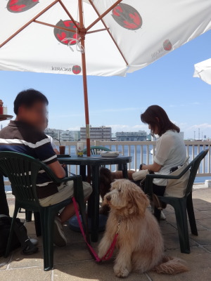 i14051829.jpg