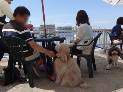 i14051830.jpg