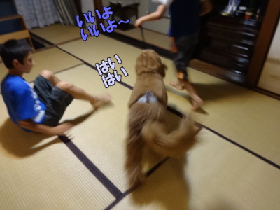 i14082705.jpg