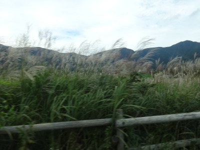 i14091506.jpg