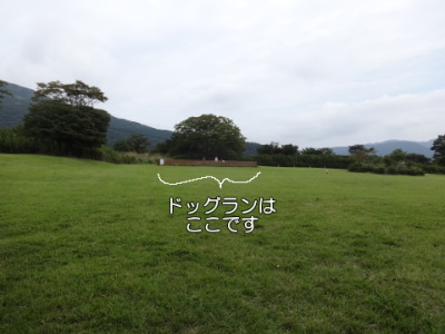 i14091703.jpg
