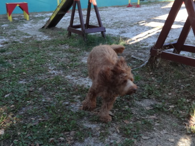 i14101624.jpg