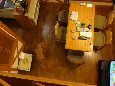 i14101625.jpg
