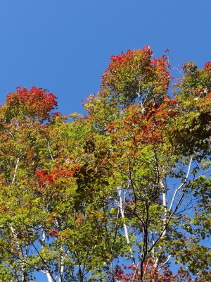 i14101701.jpg
