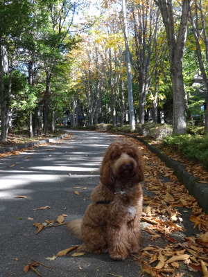 i14101702.jpg