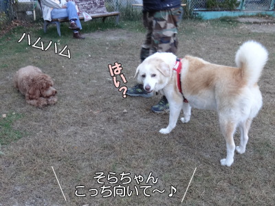 i14101714.jpg