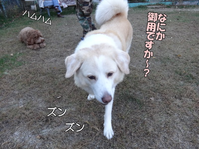i14101715.jpg