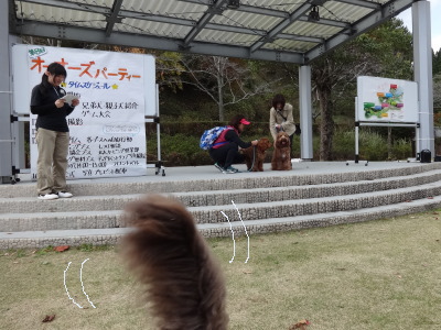 i14113018.jpg