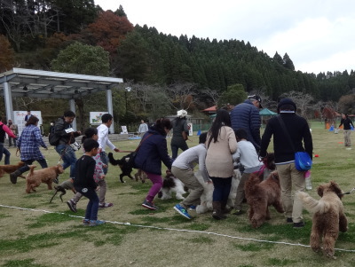 i14113033.jpg