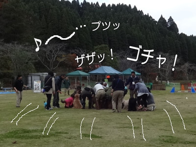 i14113036.jpg