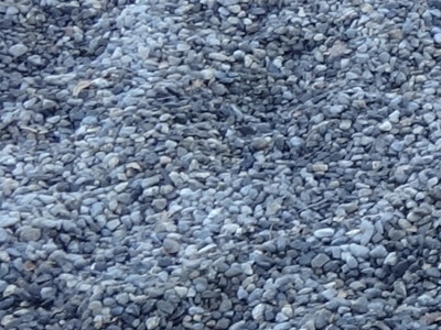 i14122603.jpg