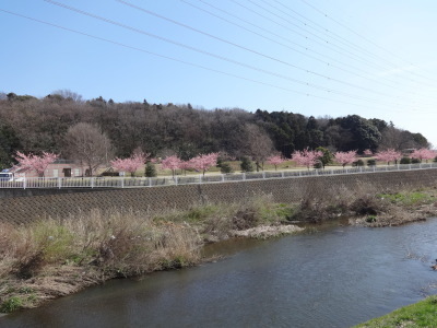 i15031201.jpg