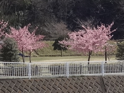i15031202.jpg