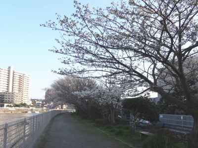 i15033010.jpg