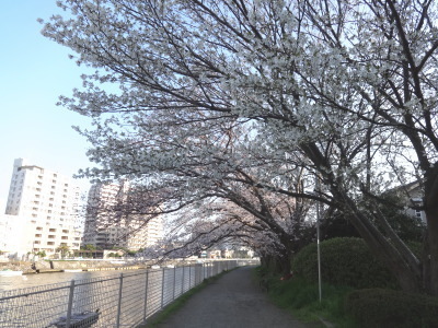 i15033012.jpg