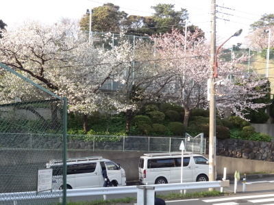i15033101.jpg