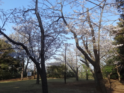 i15033105.jpg