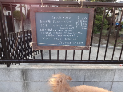 i15042302.jpg