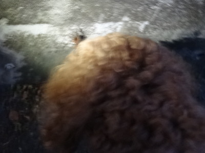 i15080201.jpg