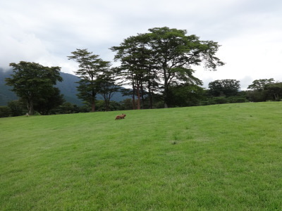 i15081901.jpg
