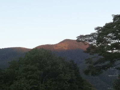i15100808.jpg