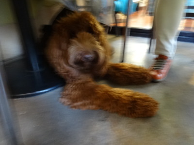 i16010804.jpg