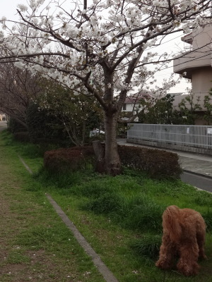 i16033002.jpg