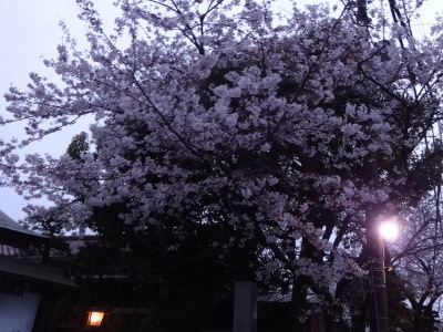 i16040105.jpg