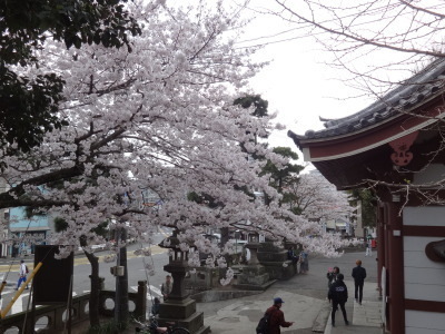 i16040302.jpg