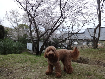 i16040310.jpg