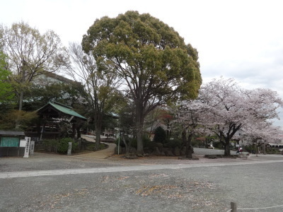 i16040801.jpg