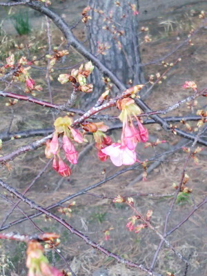 i17011201.jpg