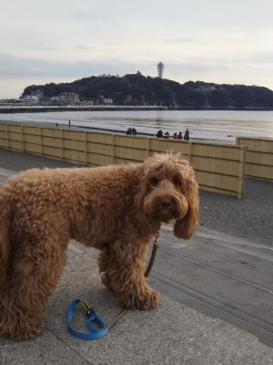 i18022107.jpg