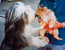 j130609.jpg